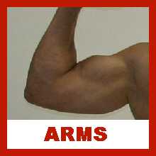 Arms.n.jpg