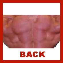 Back.n.jpg