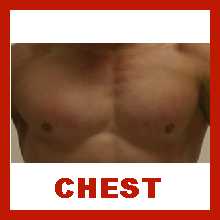 Chest.n.jpg