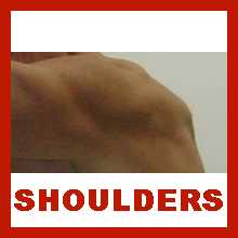 Shoulders.n.jpg